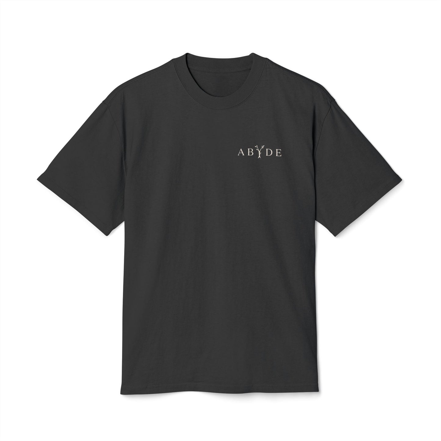 DEAD Heavy Faded Tee | Galatians 2:20